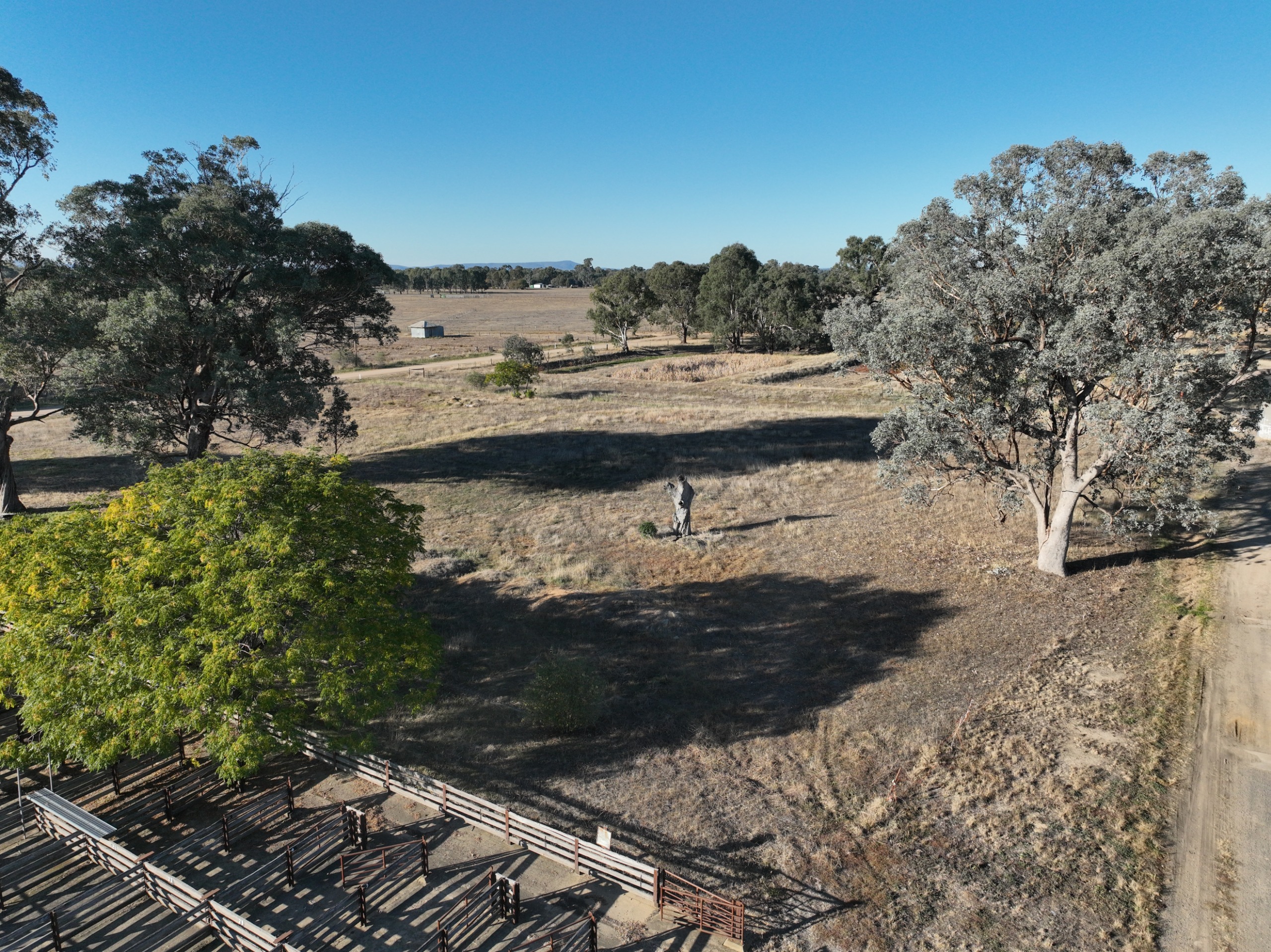 Before shot of the Saleyards Road area