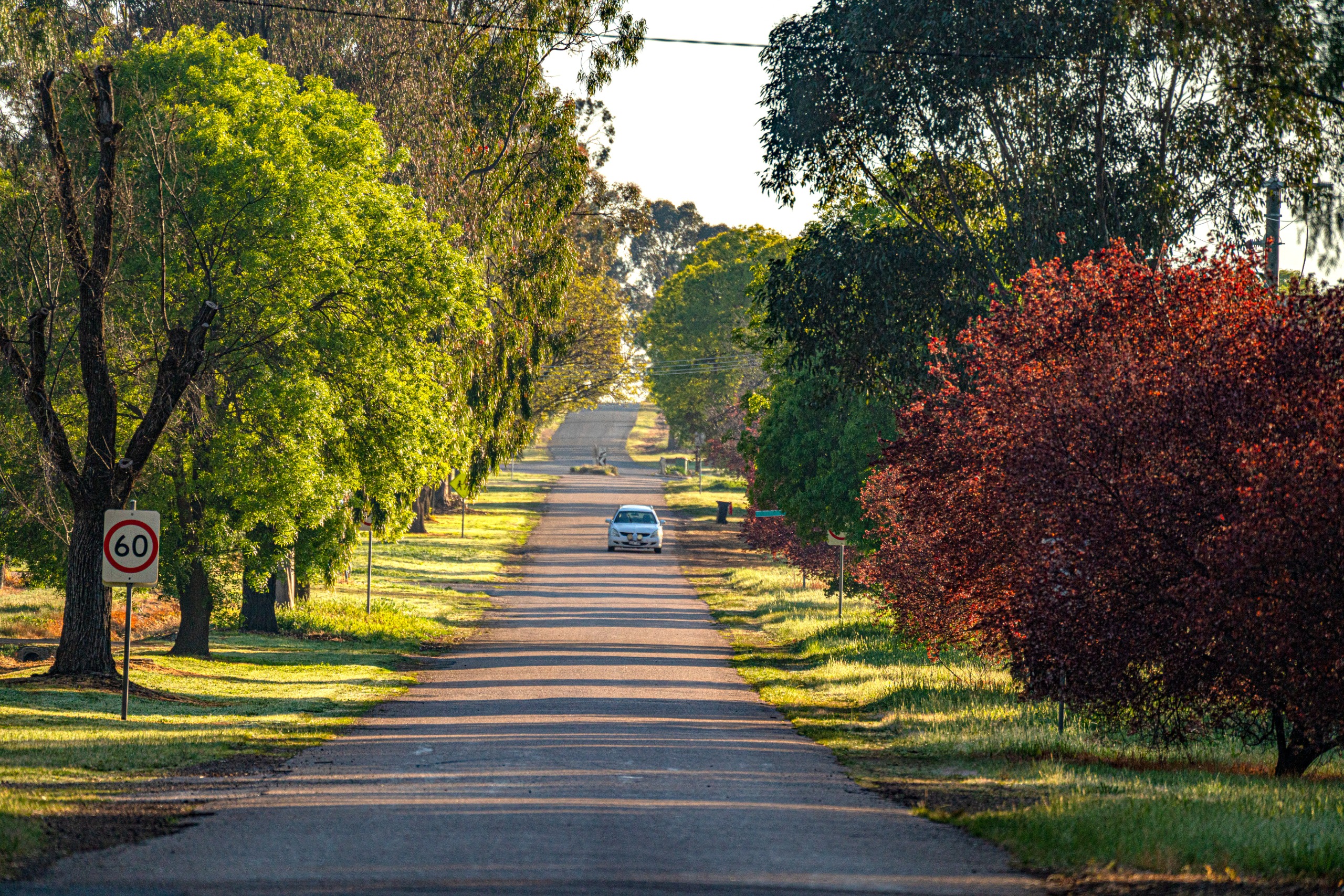 Road Safety Strategy | Have Your Say